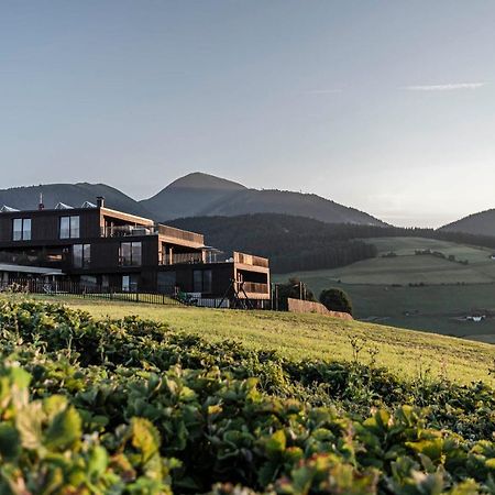 Aparthotel Panorama Living Dolomites Maranza Buitenkant foto